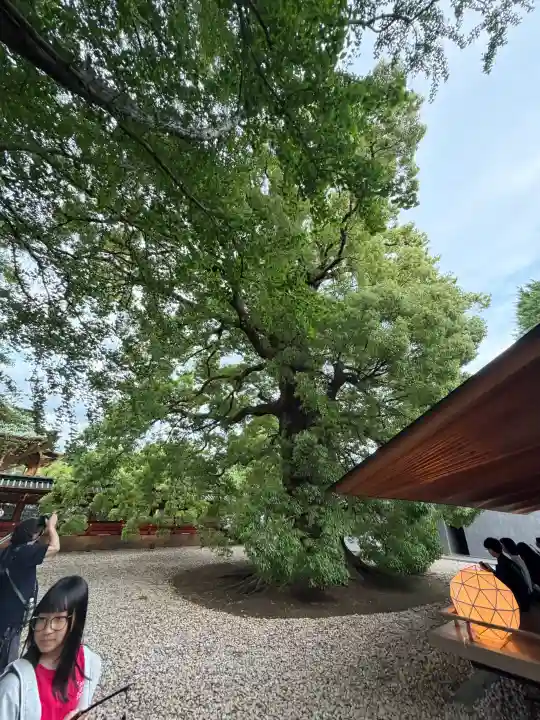 上野東照宮の{uncategorized: "未分類", other: "その他", undefined: "問題あり", building: "その他建物", grave: "お墓", sacred_gate: "鳥居", guardian: "狛犬", statue: "像", buddha: "仏像", history: "歴史", nature: "自然", garden: "庭園", animal: "動物", pagoda: "塔", temizu: "手水舎", mountain_gate: "山門・神門", sanctuary: "本殿・本堂", subordinate: "末社・摂社", art: "芸術", scenery: "景色", jizo: "地蔵", ema: "絵馬", goshuin: "御朱印", omikuji: "おみくじ", items: "授与品その他", amulet: "お守り", goshuincho: "御朱印帳", eats: "食事", festival: "お祭り", votive_dance: "神楽", shichigosan: "七五三参", wedding: "結婚式", experience: "体験その他", initially: "初詣", around: "周辺", anti_infection: "感染症対策"}