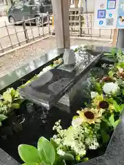 新琴似神社(北海道)