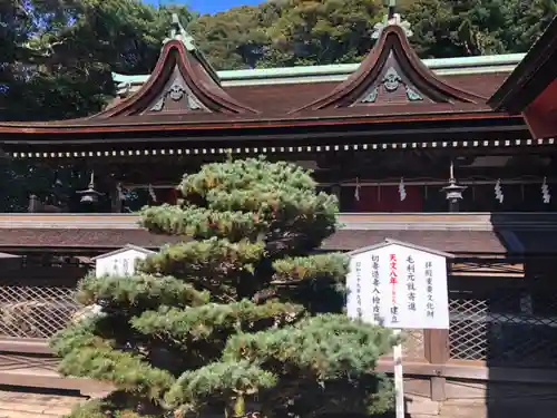 住吉神社の建物その他