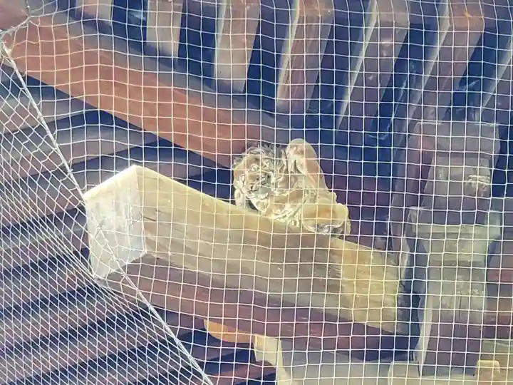 東寺(教王護国寺)のその他建物