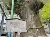 出世稲荷神社の{uncategorized: "未分類", other: "その他", undefined: "問題あり", building: "その他建物", grave: "お墓", sacred_gate: "鳥居", guardian: "狛犬", statue: "像", buddha: "仏像", history: "歴史", nature: "自然", garden: "庭園", animal: "動物", pagoda: "塔", temizu: "手水舎", mountain_gate: "山門・神門", sanctuary: "本殿・本堂", subordinate: "末社・摂社", art: "芸術", scenery: "景色", jizo: "地蔵", ema: "絵馬", goshuin: "御朱印", omikuji: "おみくじ", items: "授与品その他", amulet: "お守り", goshuincho: "御朱印帳", eats: "食事", festival: "お祭り", votive_dance: "神楽", shichigosan: "七五三参", wedding: "結婚式", experience: "体験その他", initially: "初詣", around: "周辺", anti_infection: "感染症対策"}