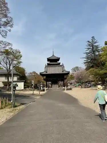 八事山 興正寺(愛知県)