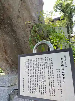 青渭神社(東京都)