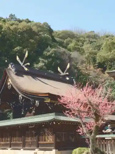 吉備津彦神社の{uncategorized: "未分類", other: "その他", undefined: "問題あり", building: "その他建物", grave: "お墓", sacred_gate: "鳥居", guardian: "狛犬", statue: "像", buddha: "仏像", history: "歴史", nature: "自然", garden: "庭園", animal: "動物", pagoda: "塔", temizu: "手水舎", mountain_gate: "山門・神門", sanctuary: "本殿・本堂", subordinate: "末社・摂社", art: "芸術", scenery: "景色", jizo: "地蔵", ema: "絵馬", goshuin: "御朱印", omikuji: "おみくじ", items: "授与品その他", amulet: "お守り", goshuincho: "御朱印帳", eats: "食事", festival: "お祭り", votive_dance: "神楽", shichigosan: "七五三参", wedding: "結婚式", experience: "体験その他", initially: "初詣", around: "周辺", anti_infection: "感染症対策"}