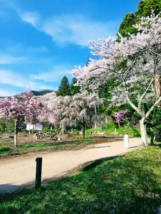 白幡八幡神社(福島県)