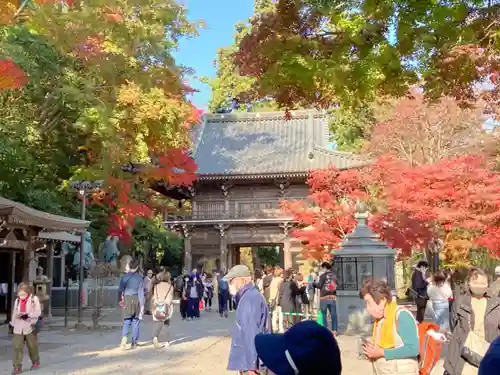 高尾山薬王院の山門