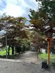 新倉富士浅間神社(山梨県)