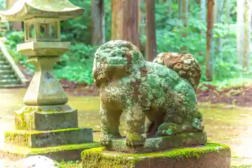 駒形根神社の狛犬