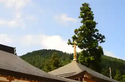 比叡山延暦寺(滋賀県)