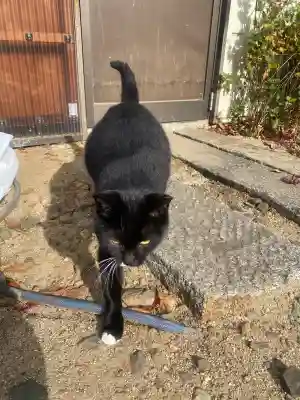 岡部春日神社～👹鬼門よけの🌺花咲く🌺やしろ～(福島県)