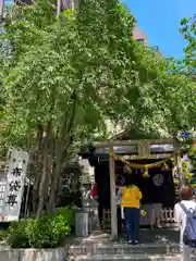 茶ノ木神社の本殿