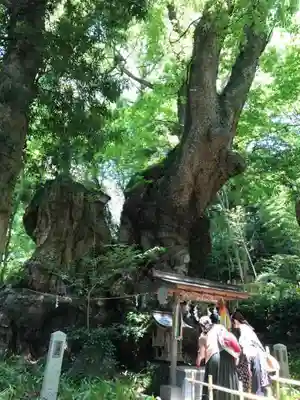 來宮神社のその他建物