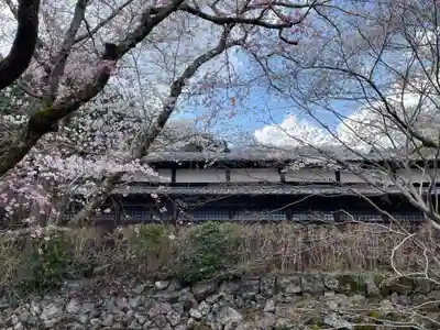 勝持寺（花の寺）(京都府)