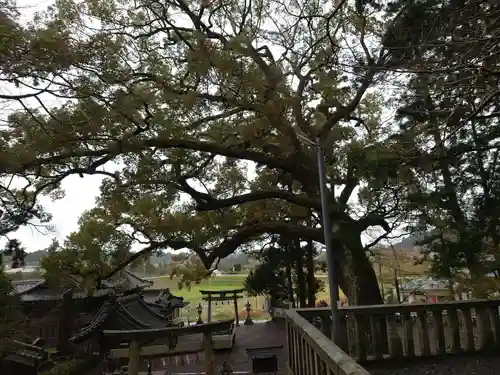 事任八幡宮の建物その他