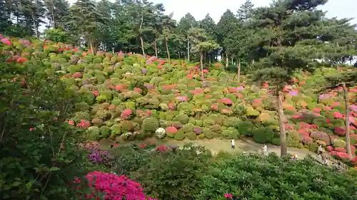 塩船観音寺(東京都)