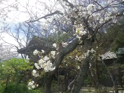 英勝寺のその他建物