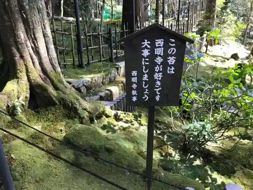 西明寺(滋賀県)