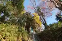 阿久津「田村神社」(郡山市阿久津町)旧社名:伊豆箱根三嶋三社の景色