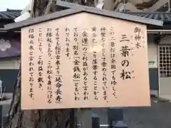 別小江神社の歴史