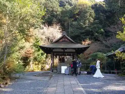 大豊神社(京都府)