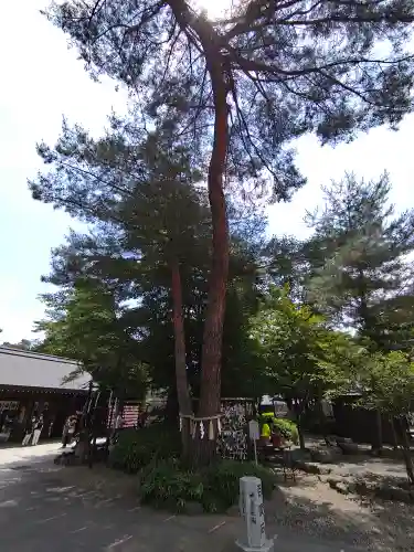 櫻木神社(千葉県)