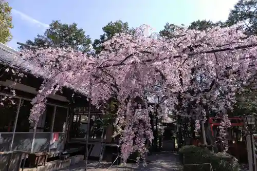 水火天満宮(京都府)