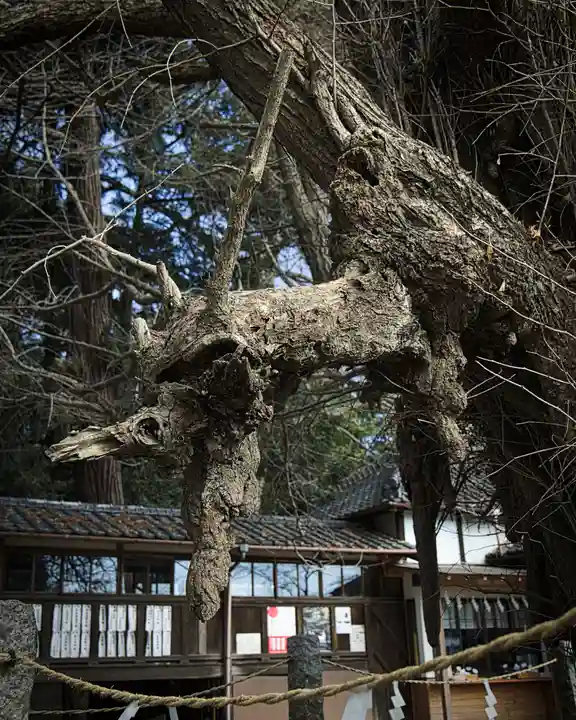 野木神社(栃木県)