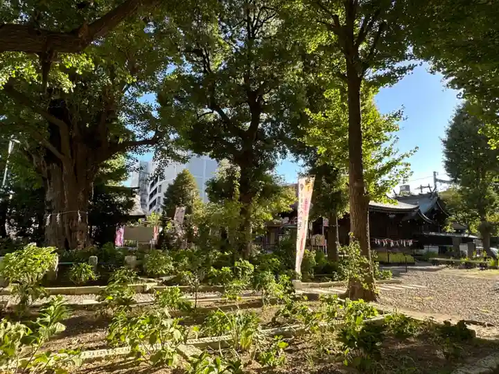 磐井神社(東京都)