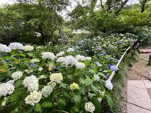 念佛院(奈良県)