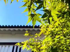 眞田神社(長野県)