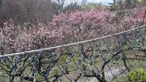 正法寺(京都府)