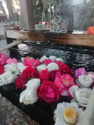 玉村八幡宮の手水舎