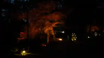 賀茂御祖神社（下鴨神社）(京都府)