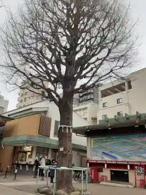 矢先稲荷神社(東京都)