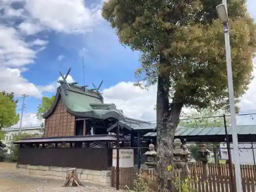 三島鴨神社の本殿