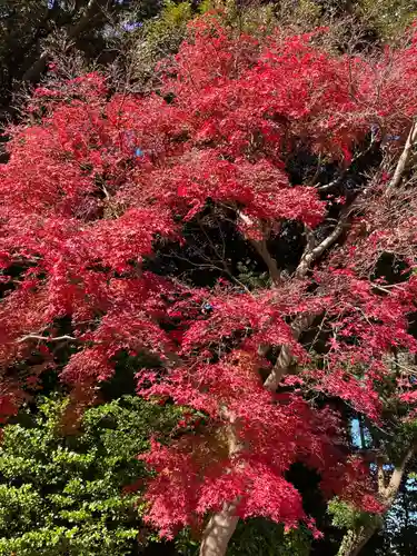 川尻八幡宮(神奈川県)