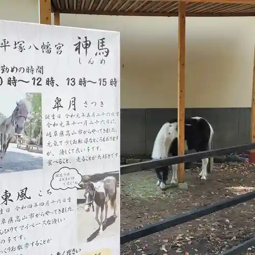 平塚八幡宮の動物