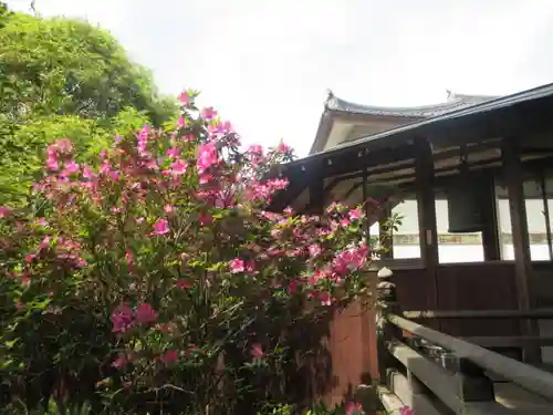 安國論寺（安国論寺）の景色