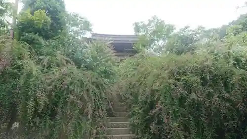 海蔵寺の建物その他