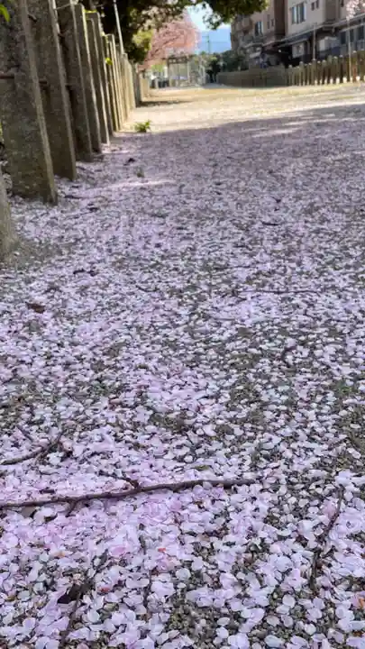 住吉神社の自然