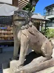 水堂須佐男神社の狛犬