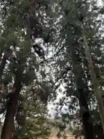 大宮温泉神社(栃木県)