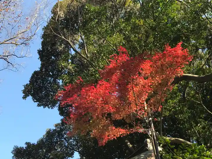 検見川神社の自然