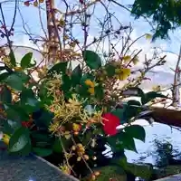 高司神社〜むすびの神の鎮まる社〜(福島県)