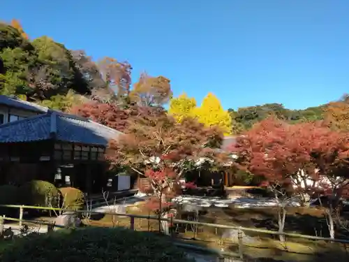 長壽寺（長寿寺）(神奈川県)