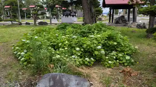 多度志神社の庭園