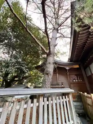 九頭竜大社(京都府)