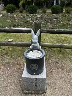 出雲大社(島根県)