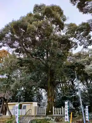 石作神社の自然