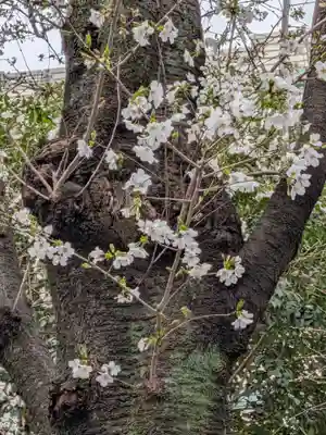 くまくま神社(導きの社 熊野町熊野神社)(東京都)